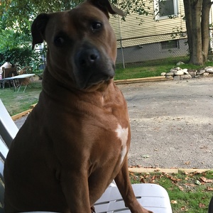 Fundraising Page: Michelle Pimentel